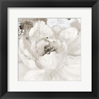 Framed 'Light Grey Flowers I' border=