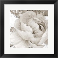 Framed Light Grey Flowers II