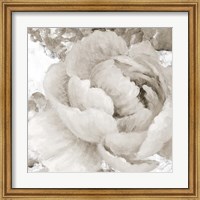 Framed Light Grey Flowers II
