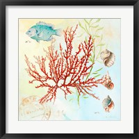 Framed Deep Sea Coral I