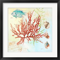Framed 'Deep Sea Coral I' border=