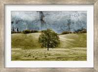 Framed Tree in the Valley