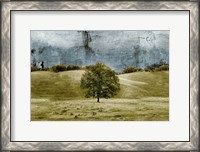 Framed Tree in the Valley