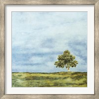 Framed Summer Oak