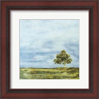 Framed Summer Oak