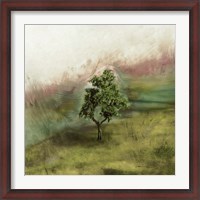 Framed Lone Oak