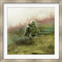 Framed Lone Oak
