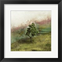 Framed Lone Oak