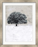Framed Old Black Tree