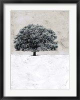 Framed Old Black Tree