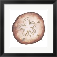 Coastal Icon Coral II Framed Print