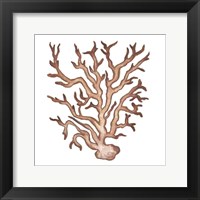 Coastal Icon Coral III Framed Print