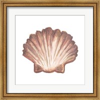 Framed Coastal Icon Coral VI