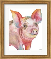 Framed Pig I