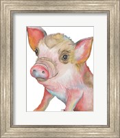 Framed Pig II