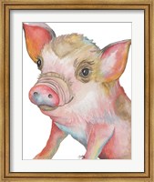 Framed Pig II