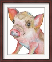 Framed Pig II