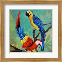Framed Tropical Birds in Love II