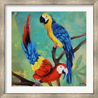 Framed Tropical Birds in Love II