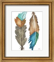 Framed Decorative Feathers