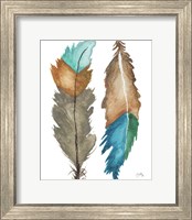 Framed Decorative Feathers