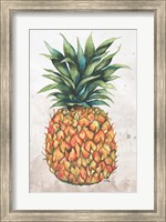 Framed Tropic Pineapple