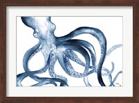Framed Octopus in the Blues