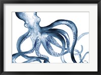 Framed Octopus in the Blues