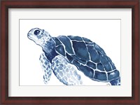 Framed Turtle in the Blues