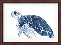 Framed Turtle in the Blues