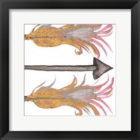 Feathers And Arrows II Framed Print
