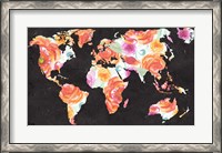 Framed World Florals