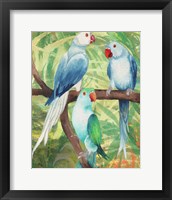 Framed 'Tropical Birds I' border=