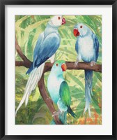 Framed Tropical Birds I