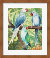 Framed 'Tropical Birds I' border=