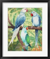 Framed 'Tropical Birds I' border=