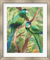 Framed Tropical Birds II