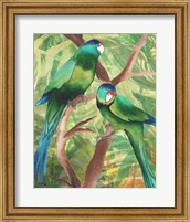 Framed Tropical Birds II