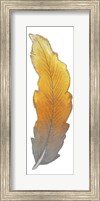 Framed Bohem Feather II