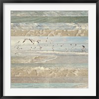 Framed Flying Beach Birds I