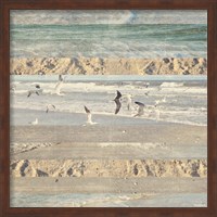 Framed Flying Beach Birds II