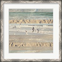 Framed 'Flying Beach Birds II' border=
