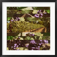 Vinecraft Horizons II Framed Print