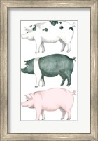Framed Piggy Wiggy Set