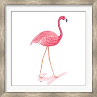 Framed Flamingo Walk III