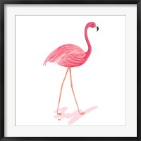 Framed Flamingo Walk III