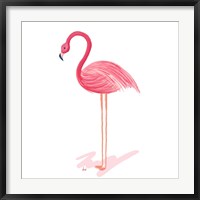 Framed Flamingo Walk IV