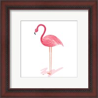 Framed 'Flamingo Walk IV' border=