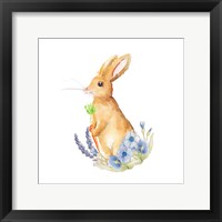 Framed Spring Bunny I