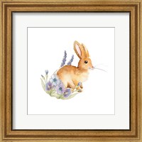 Framed Spring Bunny II